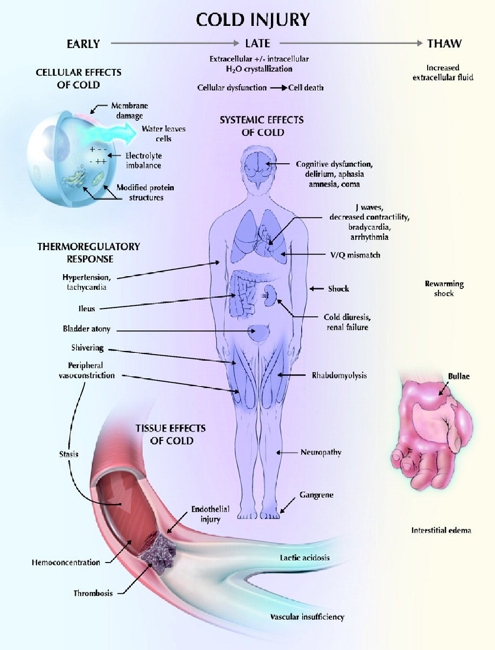 Hochschulmedizin Leipzig